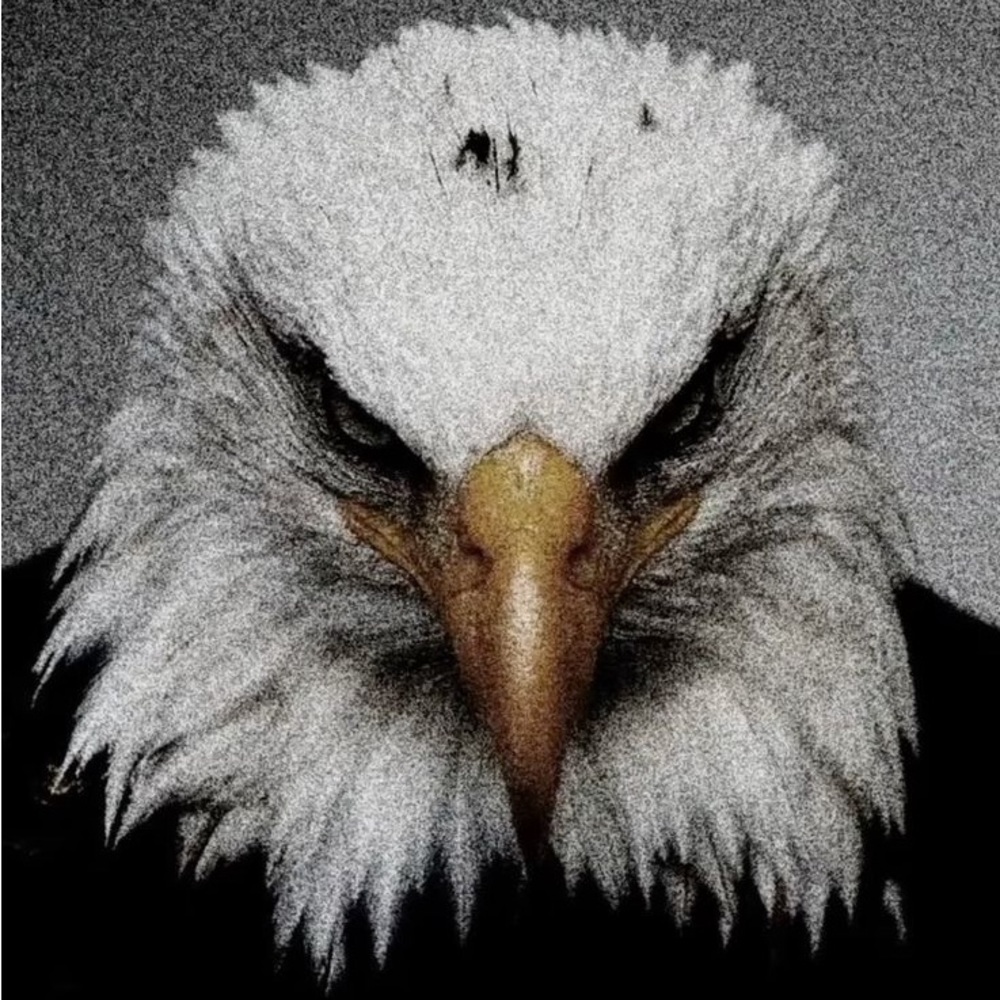 Meet your Posher, Cody